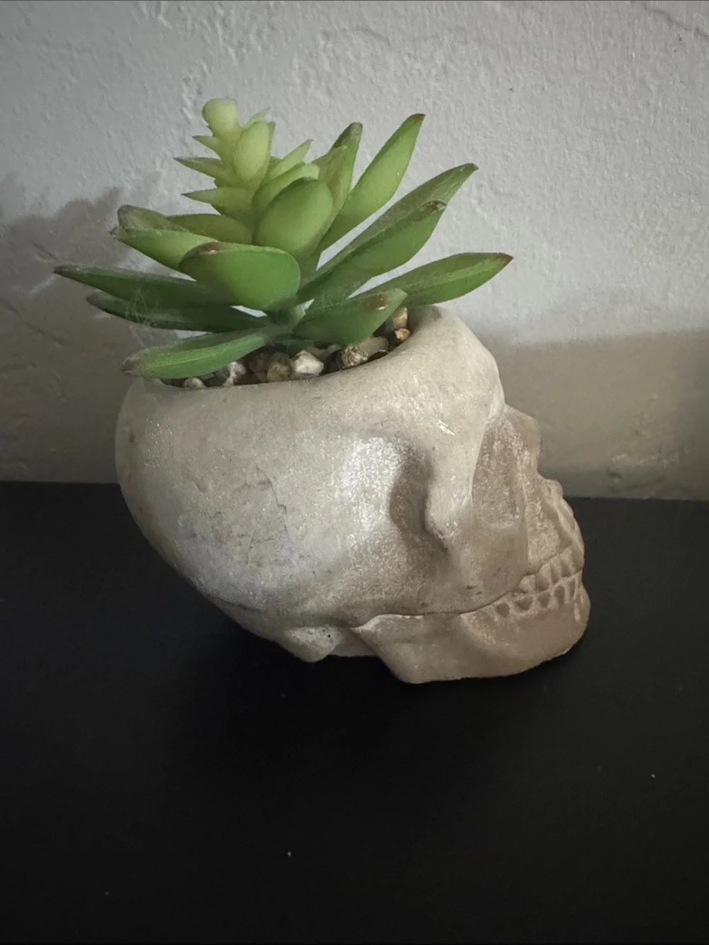 Gray Skull Planter with Green Faux Succulent